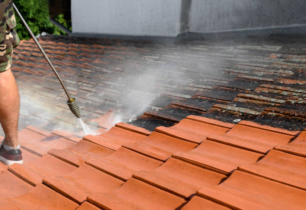 Best Pressure Washing Patio  in Henderson, NC